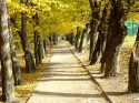 Wieliczka - Jesień w parku